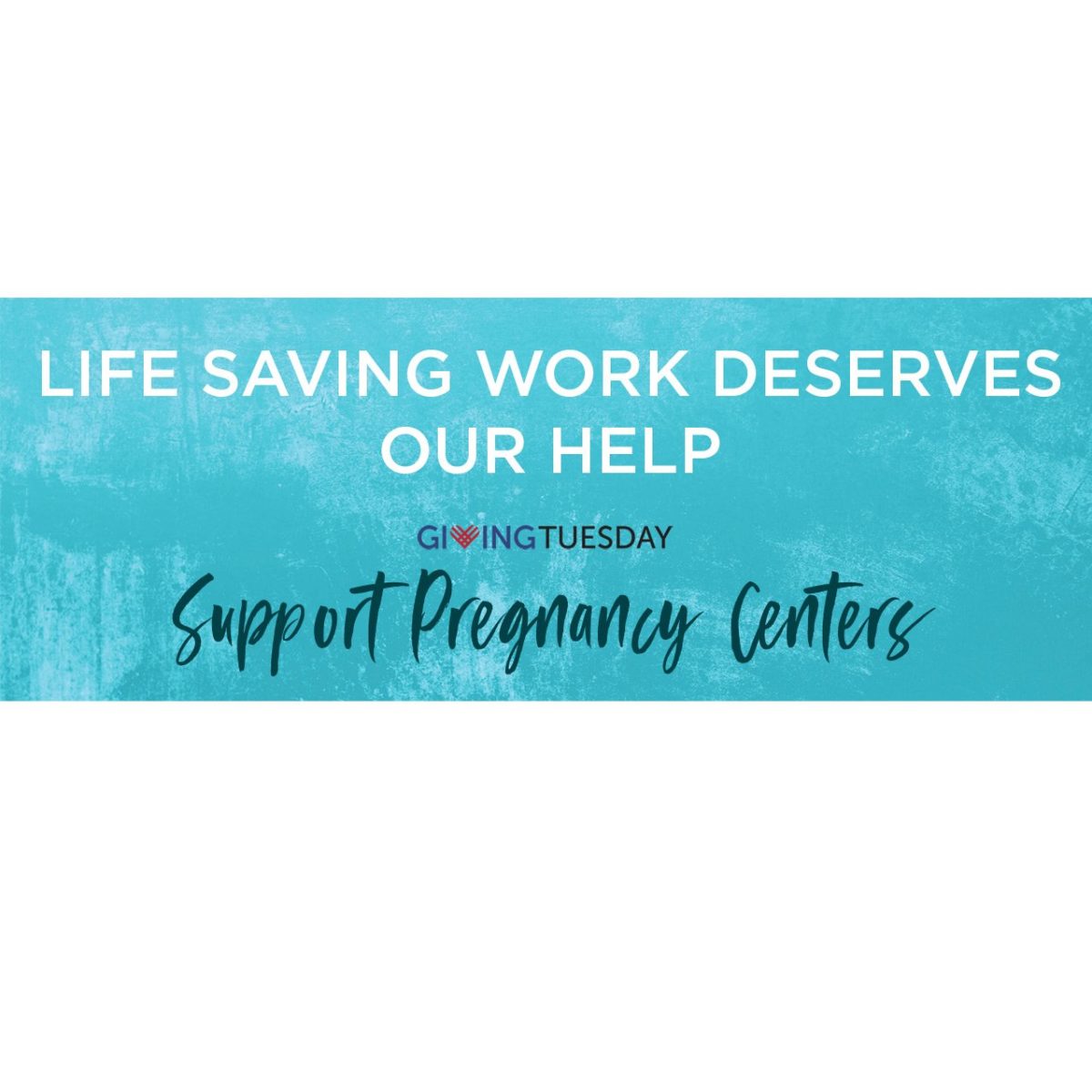 Save the Storks- Giving Tuesday 2020